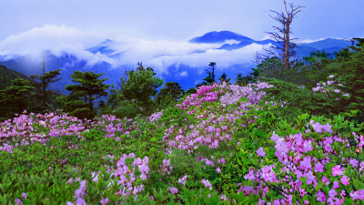 추억의지리산  73