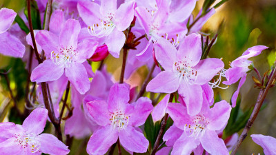 추억의지리산    100