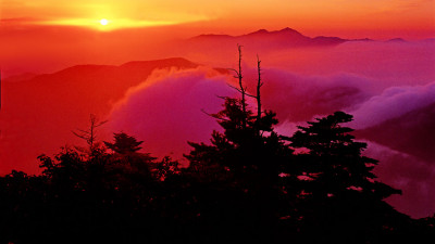 추억의지리산   107   박환윤