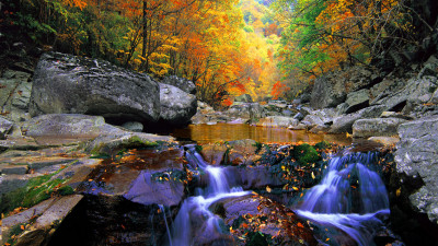 추억의지리산  136   박환윤