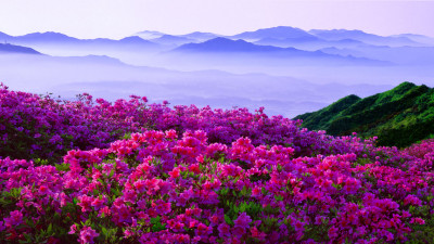 추억의 지리산   31