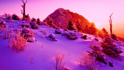 추억의 지리산  21