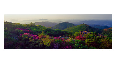 신록(무등산)