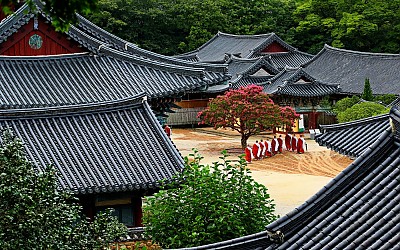 사찰의여름날