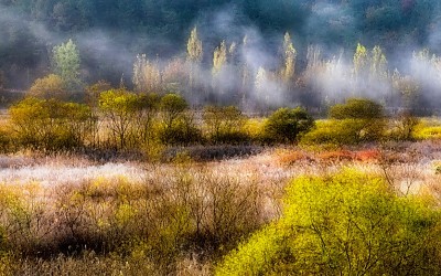 강변의추색