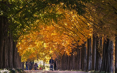 가을산책길