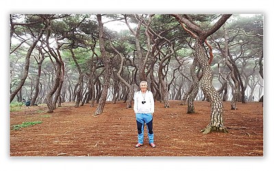 흥덕왕릉