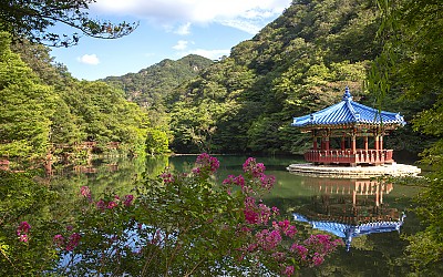 여행1