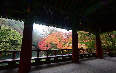 백양사.