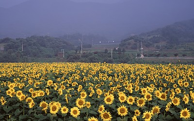 경주 반월성