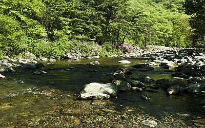 2012년 제주 9차 촬영