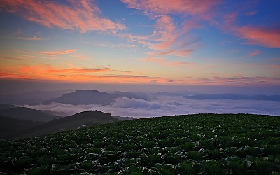 안반데기의 일출