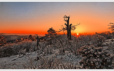 2010 01 03 태백산 일출