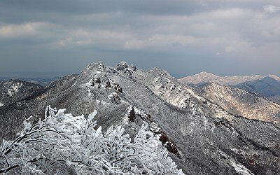 구정 전날 계룡산에서