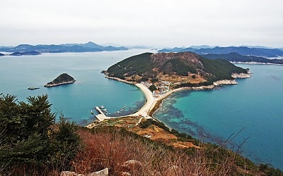 비진도