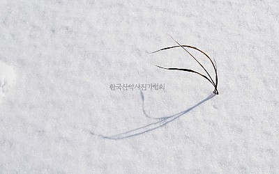 빛