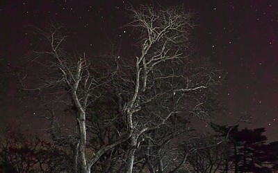 지리산 연하천대피소의 별밤
