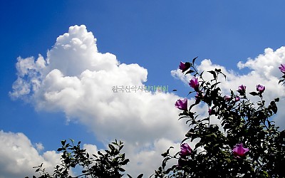 구름 좋은날