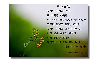 산해박