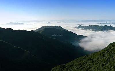 운장산의 운해