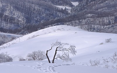 삼양목장에서 ...