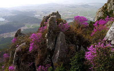 주작산