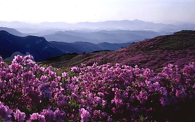 황매산