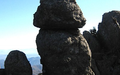 지천주