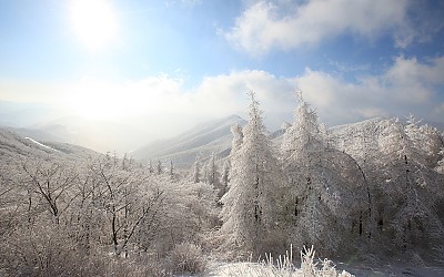 함백산의 상고대