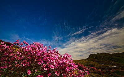 황매산에서