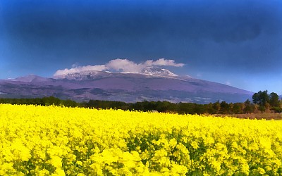 한라산