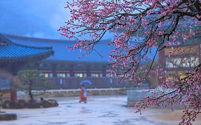 통도사