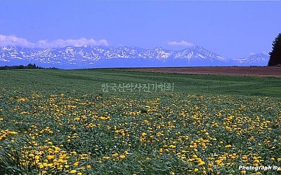 그곳에 가도 싶다. - 홋가이도의 봄
