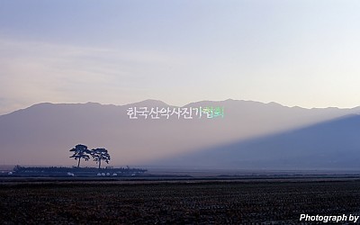 무딤이의 아침
