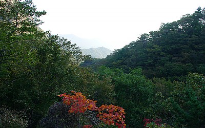 하루의 차이가~