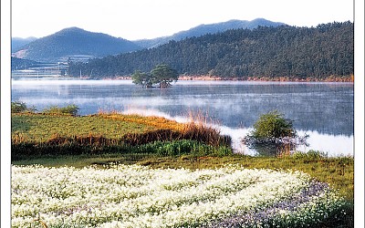꽃이 있는 아침풍경