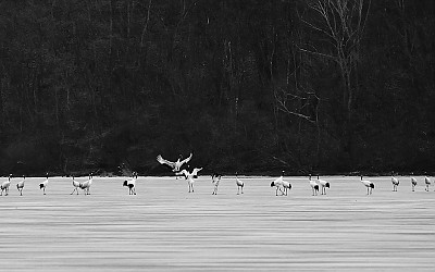 새해 복 많이 받으셔요.