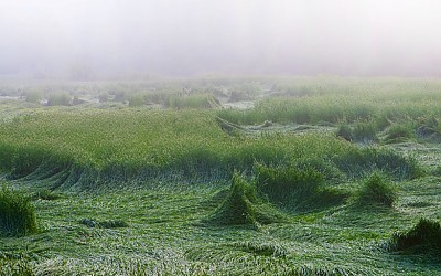 안개와 바람.