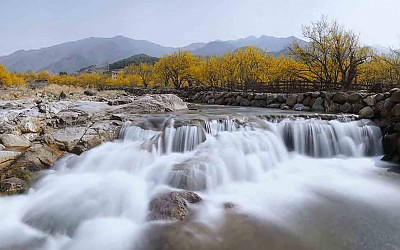산동의봄