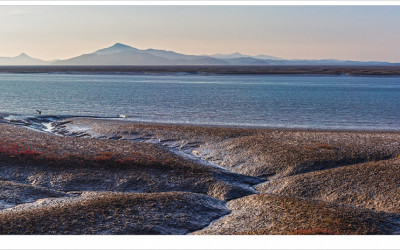갯골을 바라본다