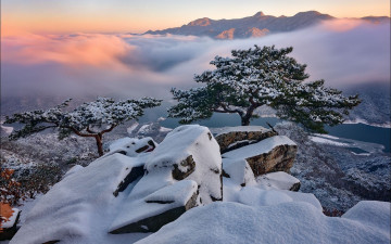 제비봉의 겨울 - 월악산