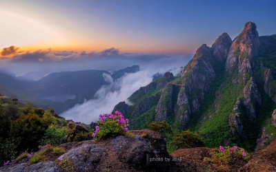 진달래와 운해 - 대둔산