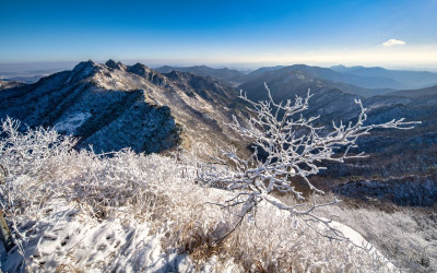 계룡산의 겨울 - 계룡산