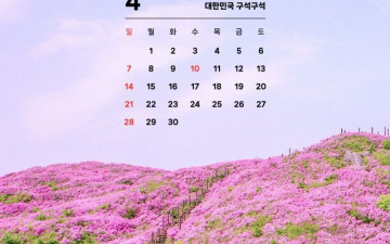 한국산 - 한국산