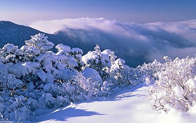 태백산 설경
