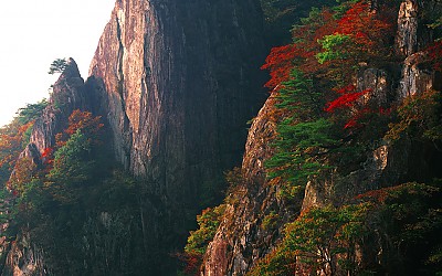 대둔산의 가을