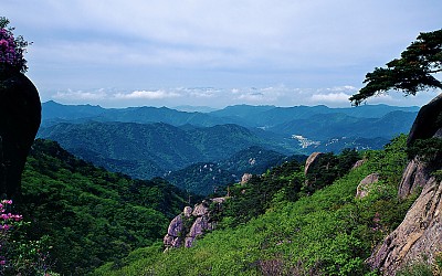 속리산의 봄