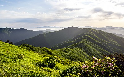 봄의 소백 - 소백산