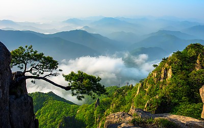 대둔산 신록 - 대둔산