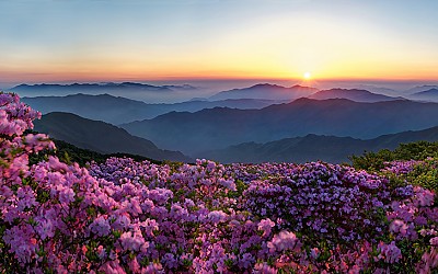 덕유산의 봄 - 덕유산